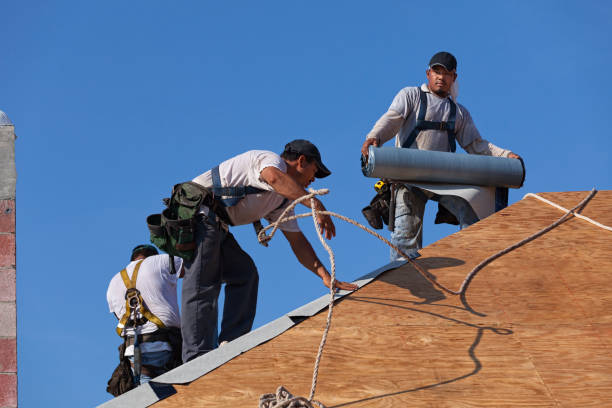 Roof Gutter Cleaning in Racine, WI